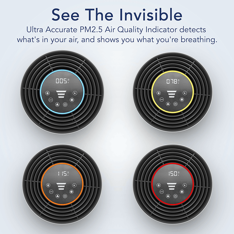 IBUKI L Large Room Air Purifier