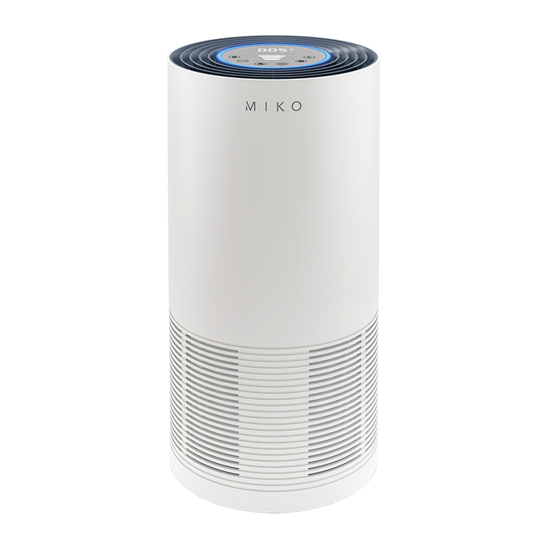IBUKI L Large Room Air Purifier