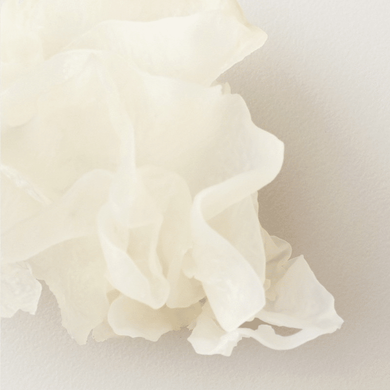 AG NOURISH: Snow Mushroom Moisture Mask