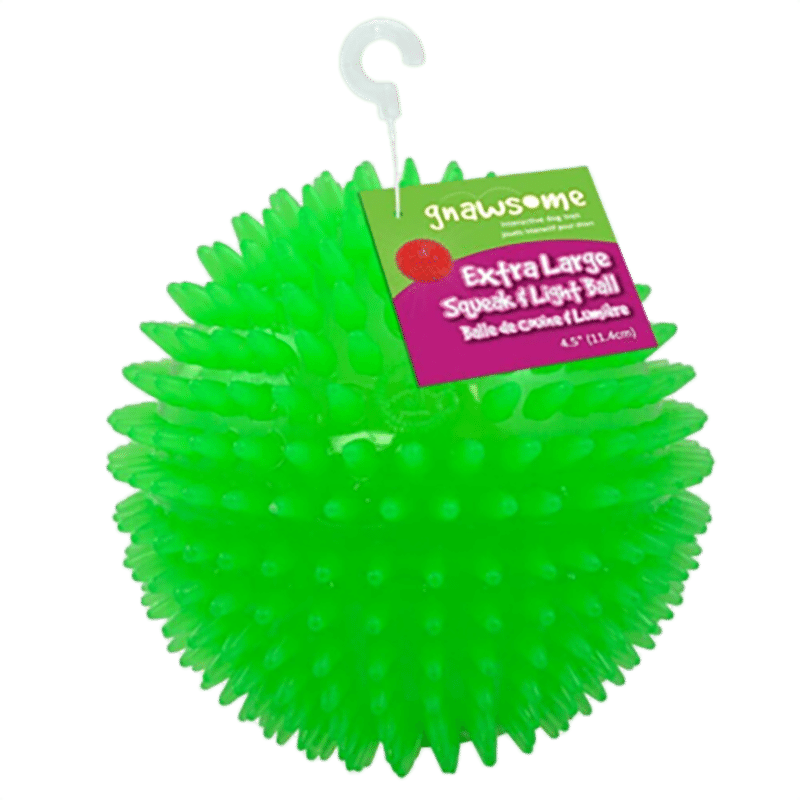 Light & Squeak Ball 2.5"