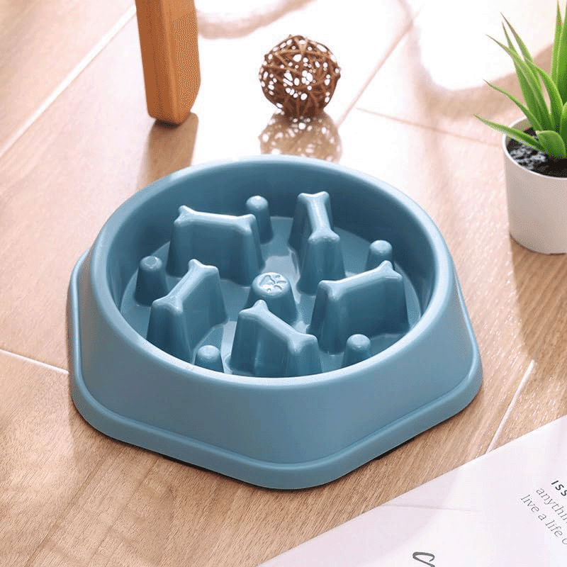 Slow Feeder Dog Bowl