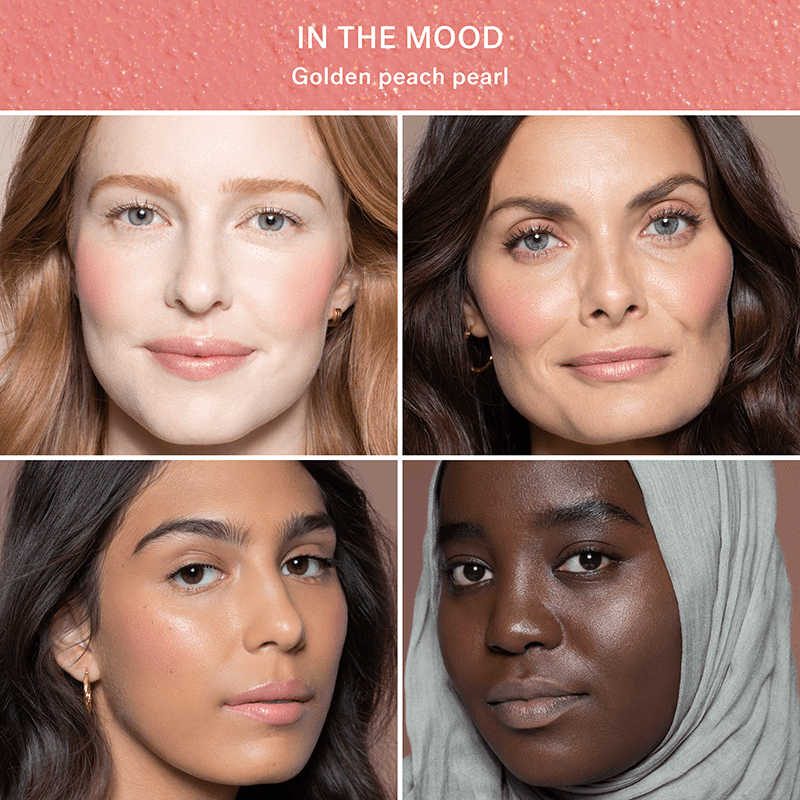 Multi Stick - In The Mood