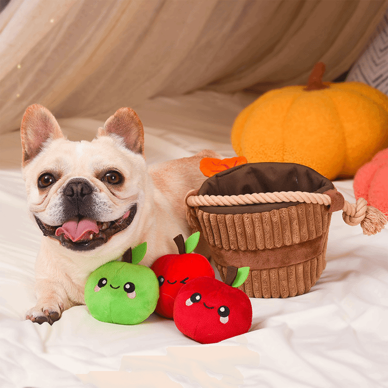 Apple Basket Dog Toy