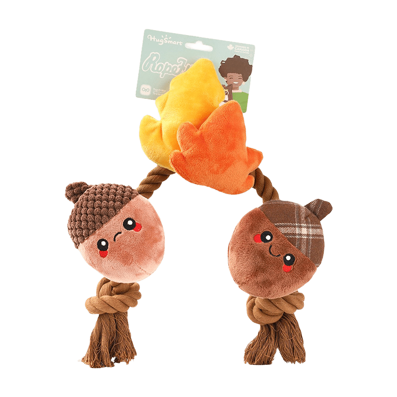 Autumn Acorn Dog Toy
