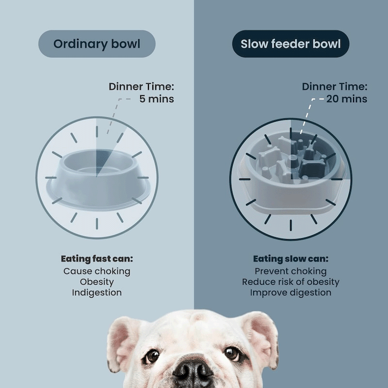 Slow Feeder Dog Bowl