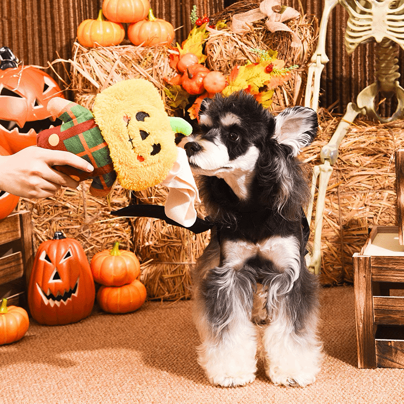 Howloween Night - Scarecrow Dog Toy
