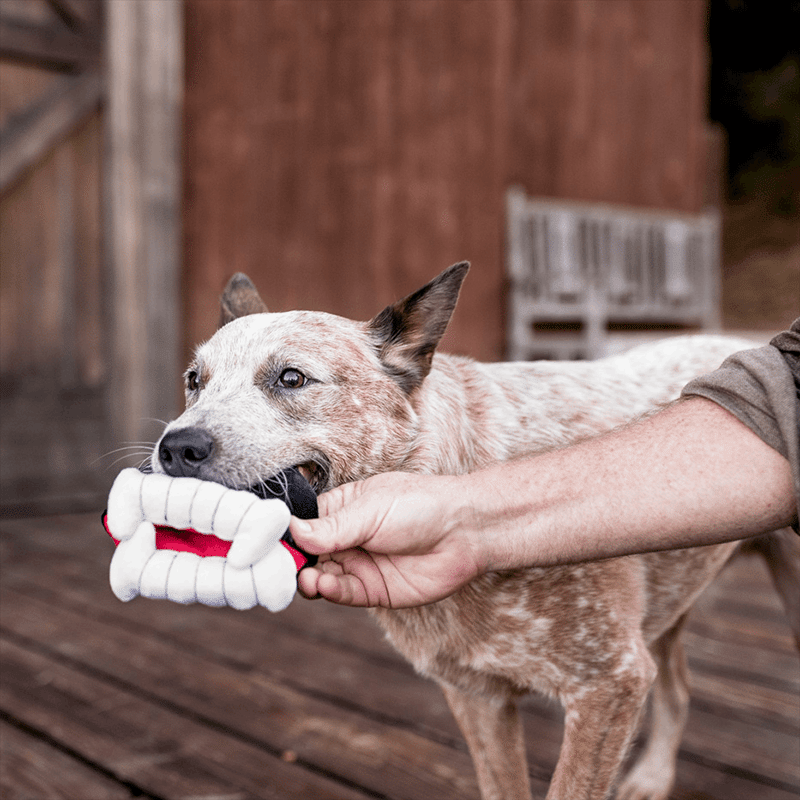 Howling Haunts Barky's Bite Dog Toy