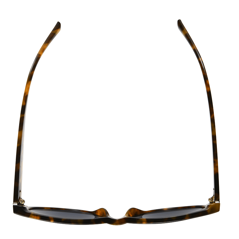 Oversized Frame with Smoke Lens