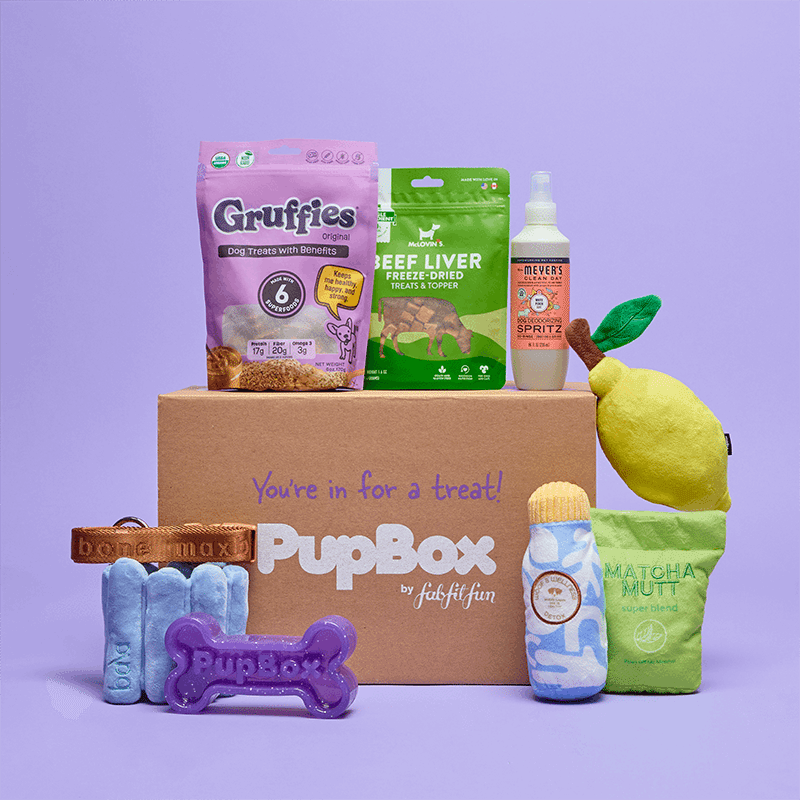 Picture of PupBox by FabFitFun (S/M)