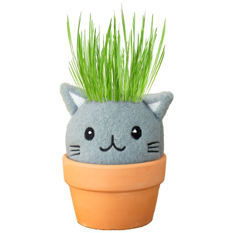 Cat Grow Kit