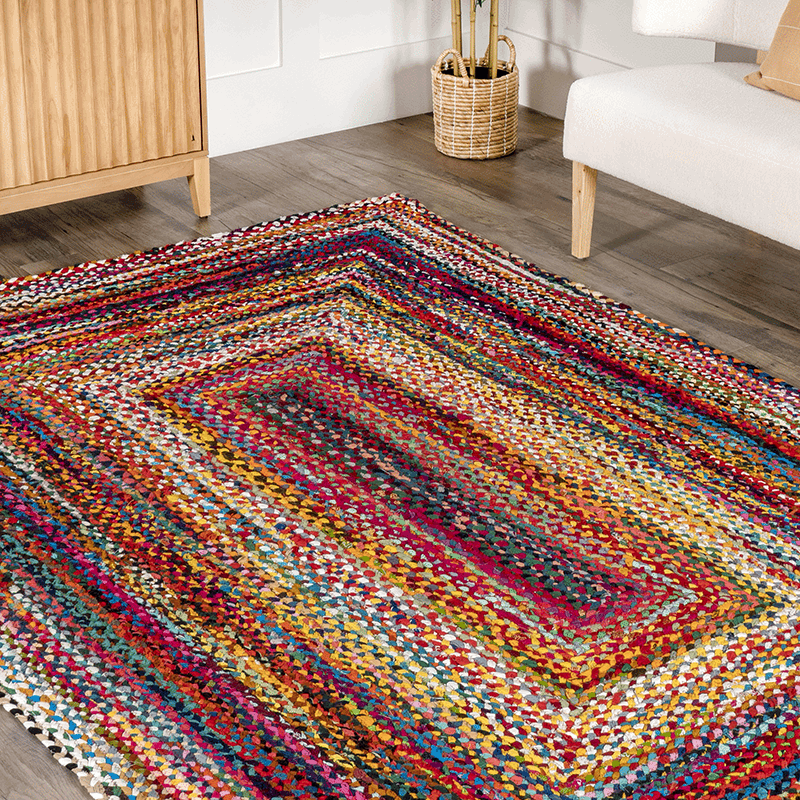 Tammara Bohemian Hand Braided Area Rug