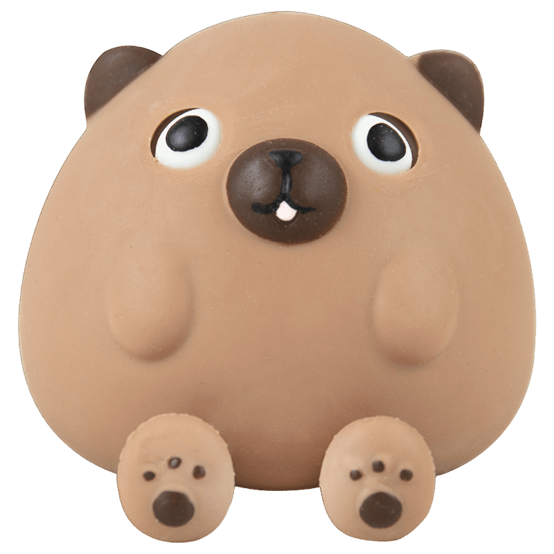 Dog Eye Stress Toy
