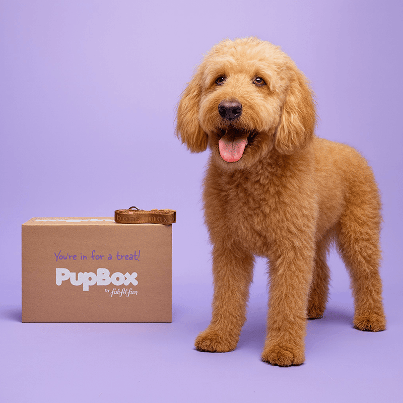 PupBox by FabFitFun (L/XL)