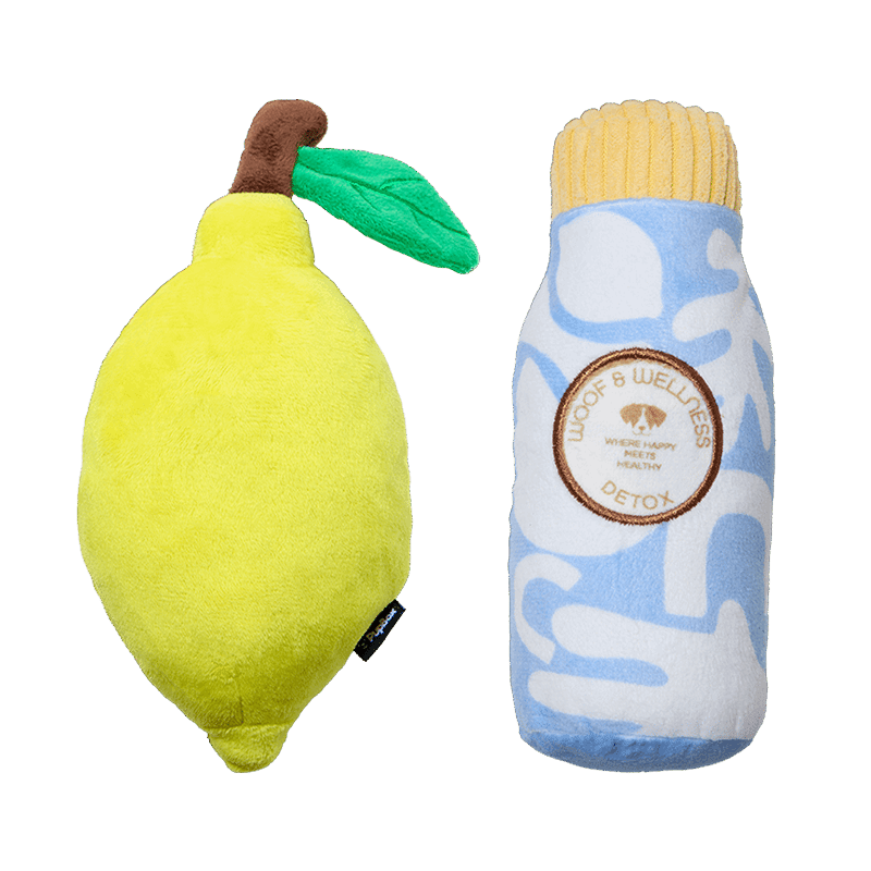 Pet Favorites Toy Bundle (S/M)
