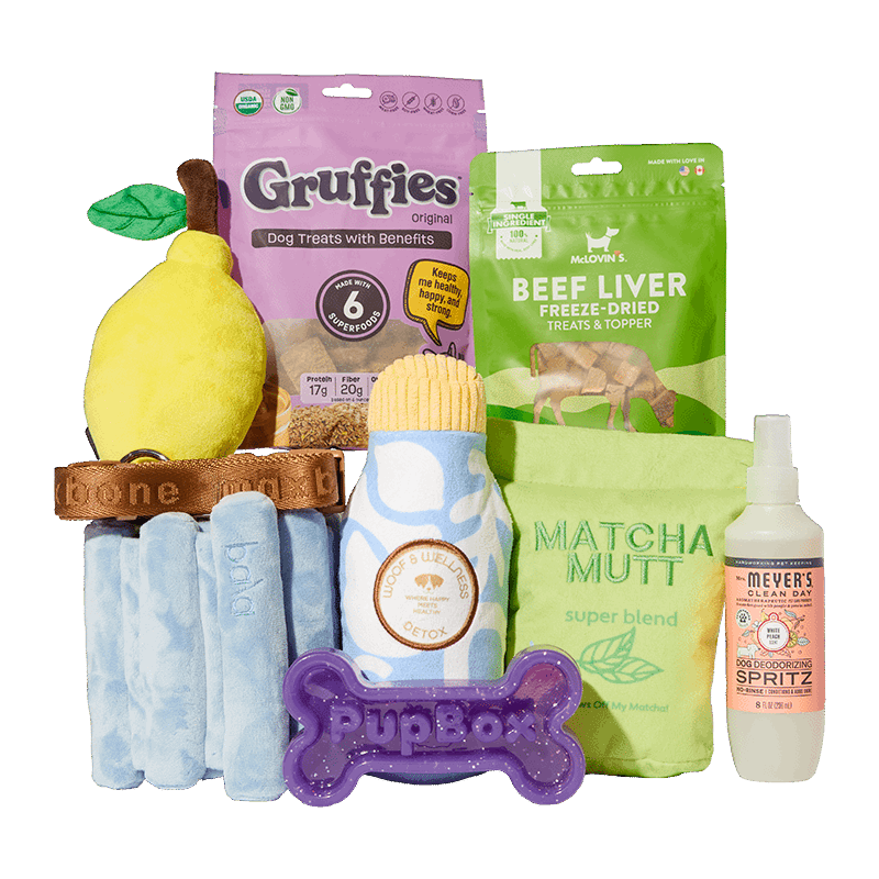 PupBox by FabFitFun (L/XL)