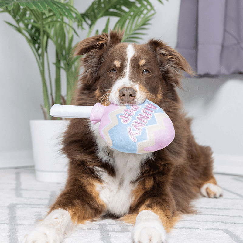 Bunny Pop Small Plush Dog Toy