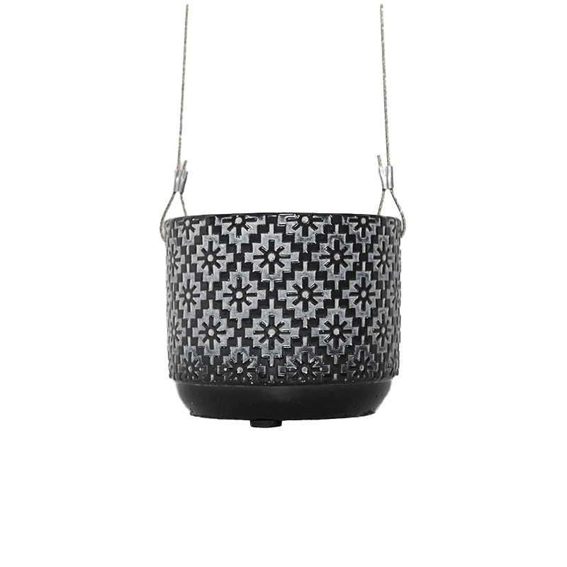 4" Hanging Planter