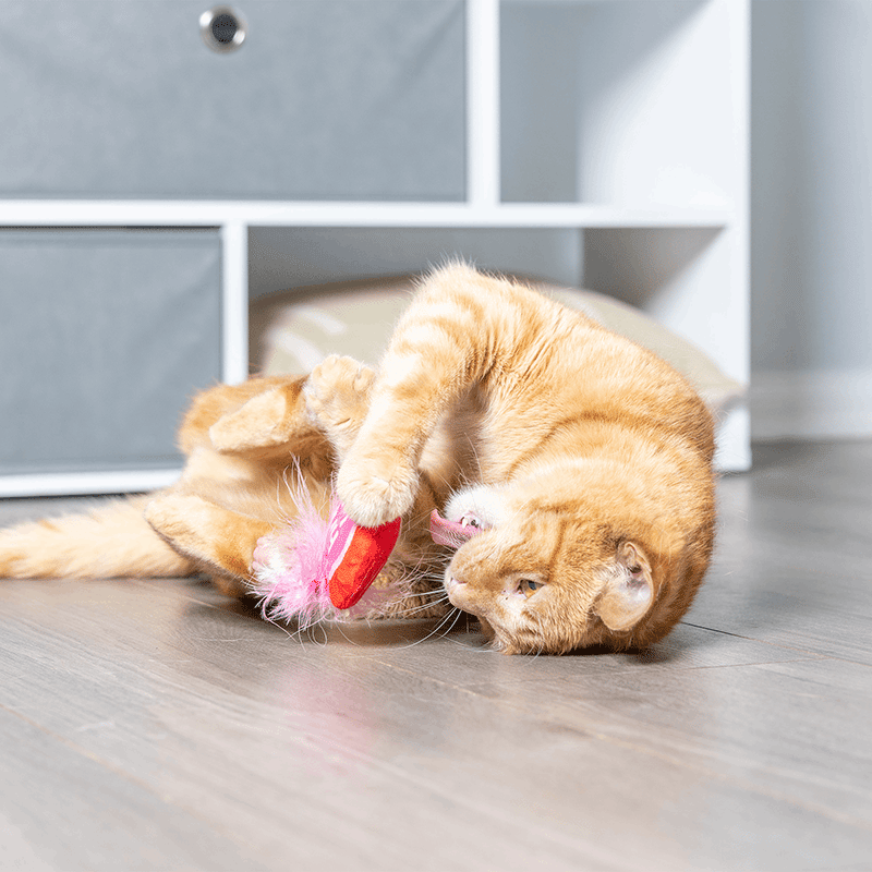 First Lick Heart & Be Mine Coffee 2PK Cat Toy