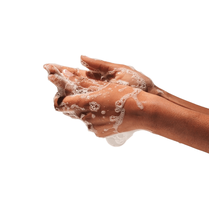 Almond Honey Cookie Hand & Body Wash