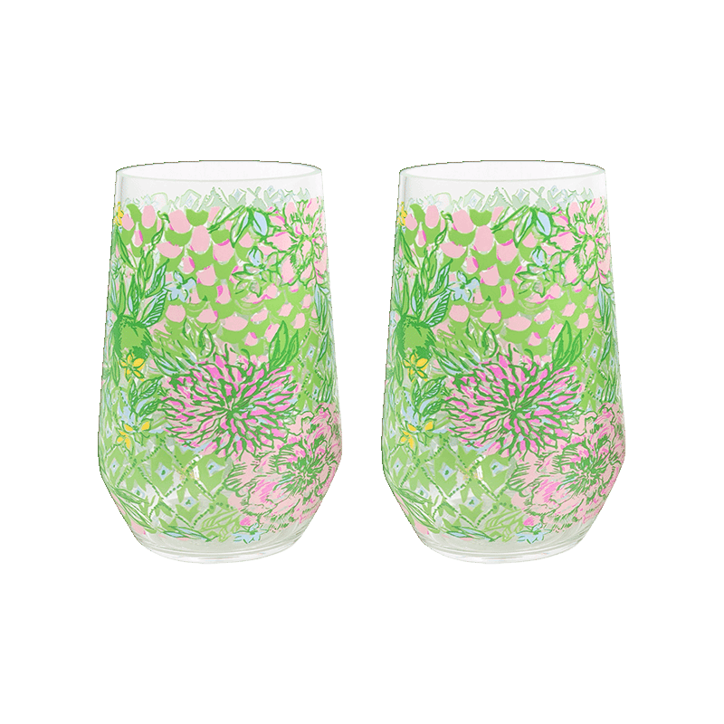 Acrylic Wine Glass Set