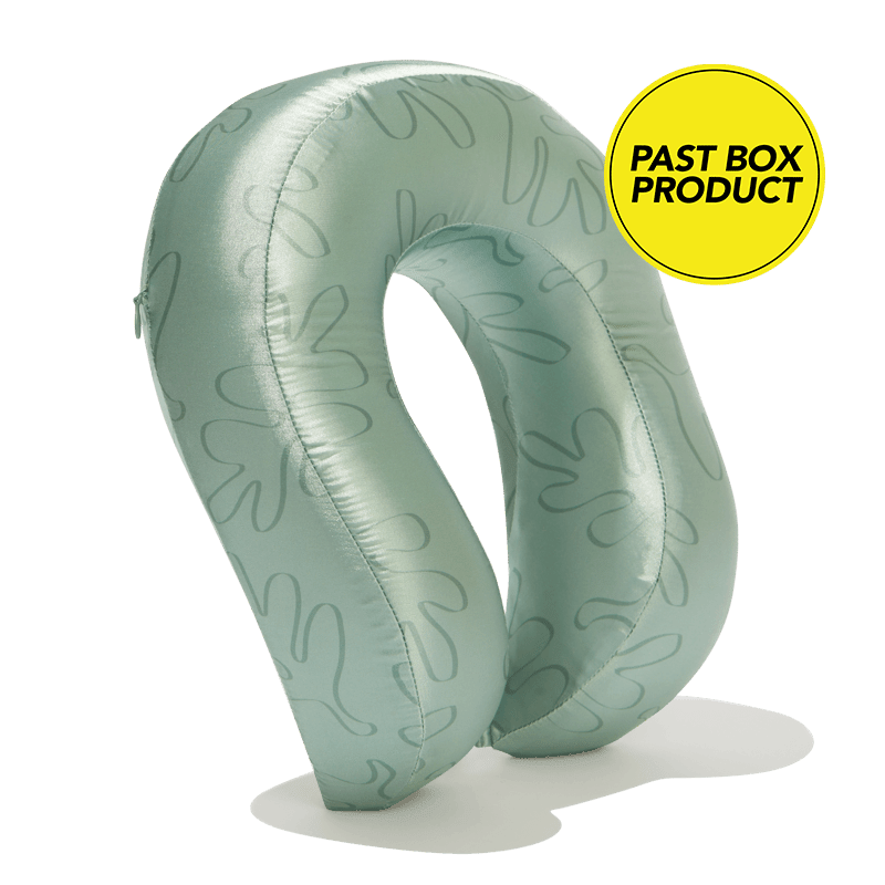 Frequent Flyer Travel Pillow