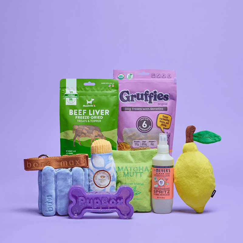 PupBox by FabFitFun (S/M)