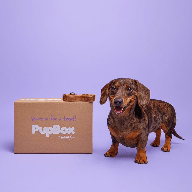 PupBox by FabFitFun (S/M)