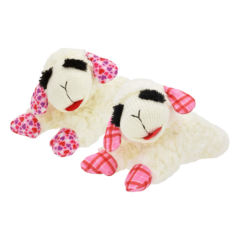 Valentine's Day Lamb Chop Dog Toy
