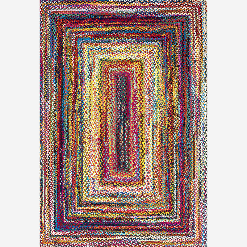 Tammara Bohemian Hand Braided Area Rug