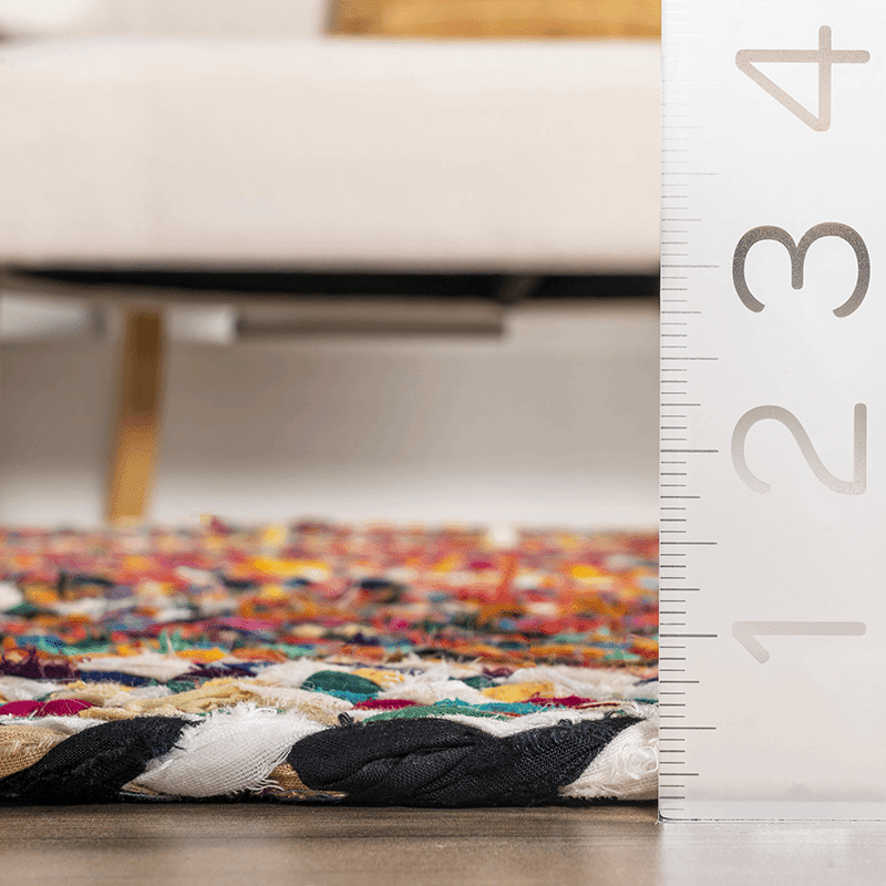 Tammara Bohemian Hand Braided Area Rug