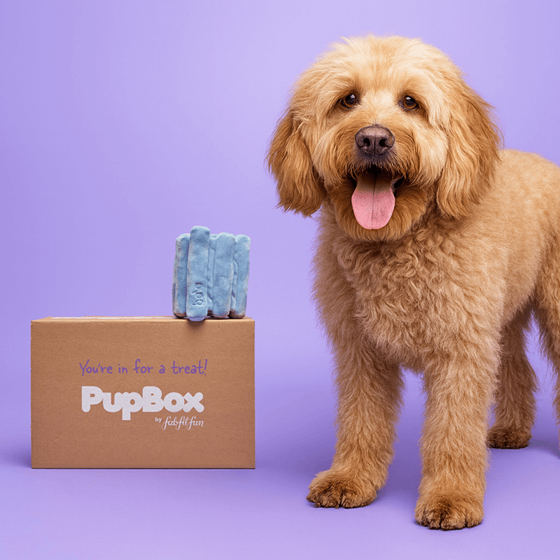 PupBox by FabFitFun (L/XL)