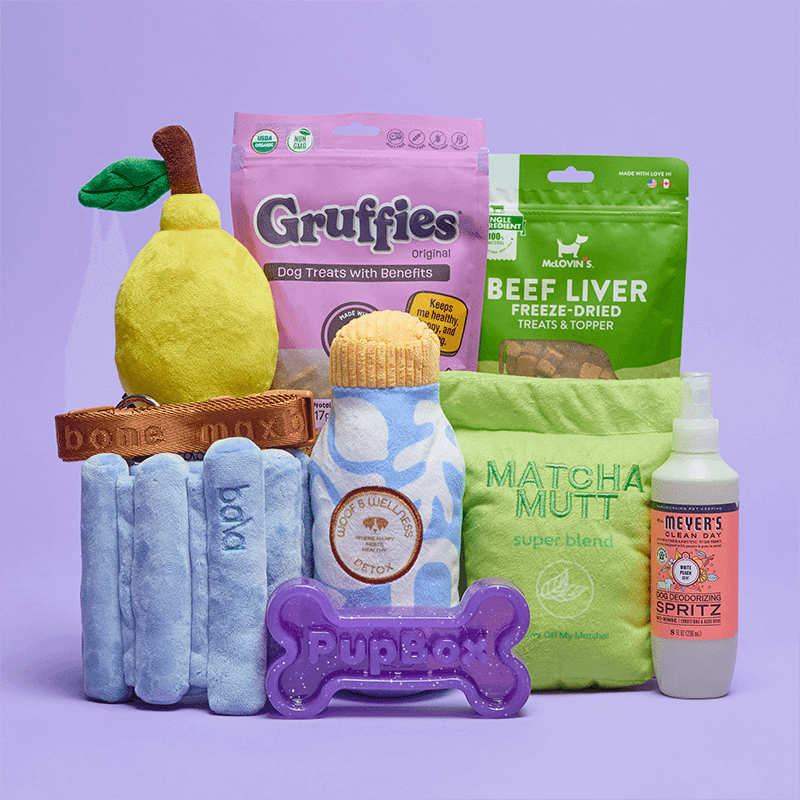 PupBox by FabFitFun (L/XL)