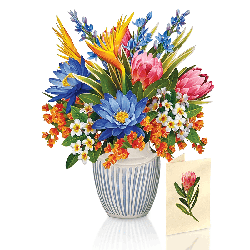 Tropical Paradise Classic