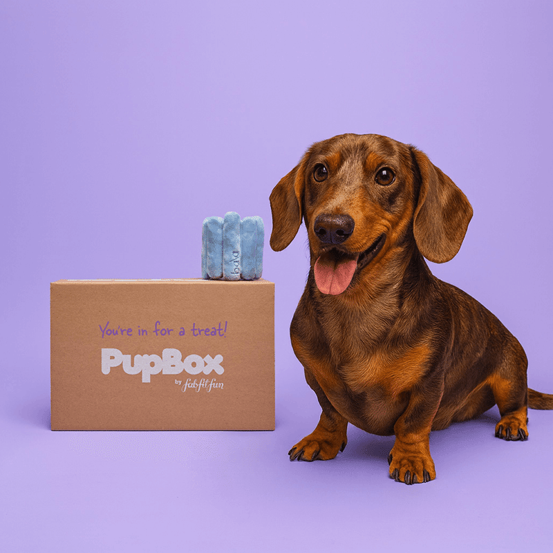 PupBox by FabFitFun (S/M)