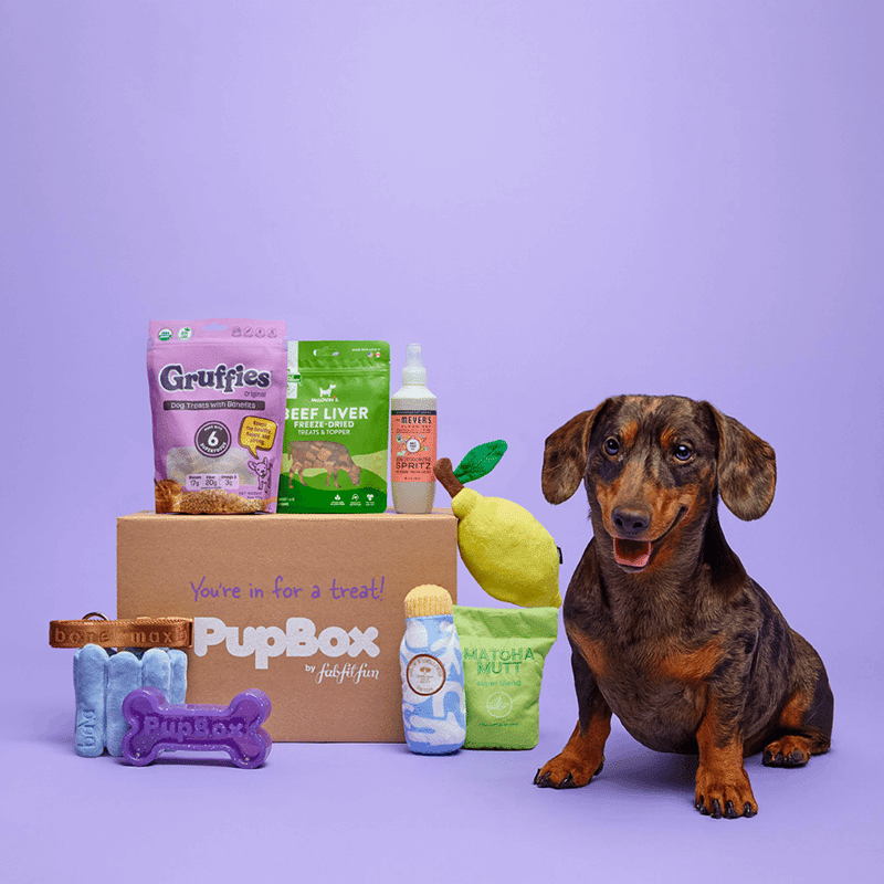 PupBox by FabFitFun (S/M)