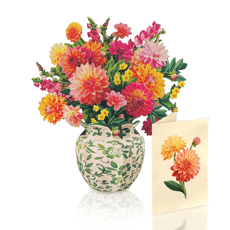 Dahlia Sunrise (Mini)