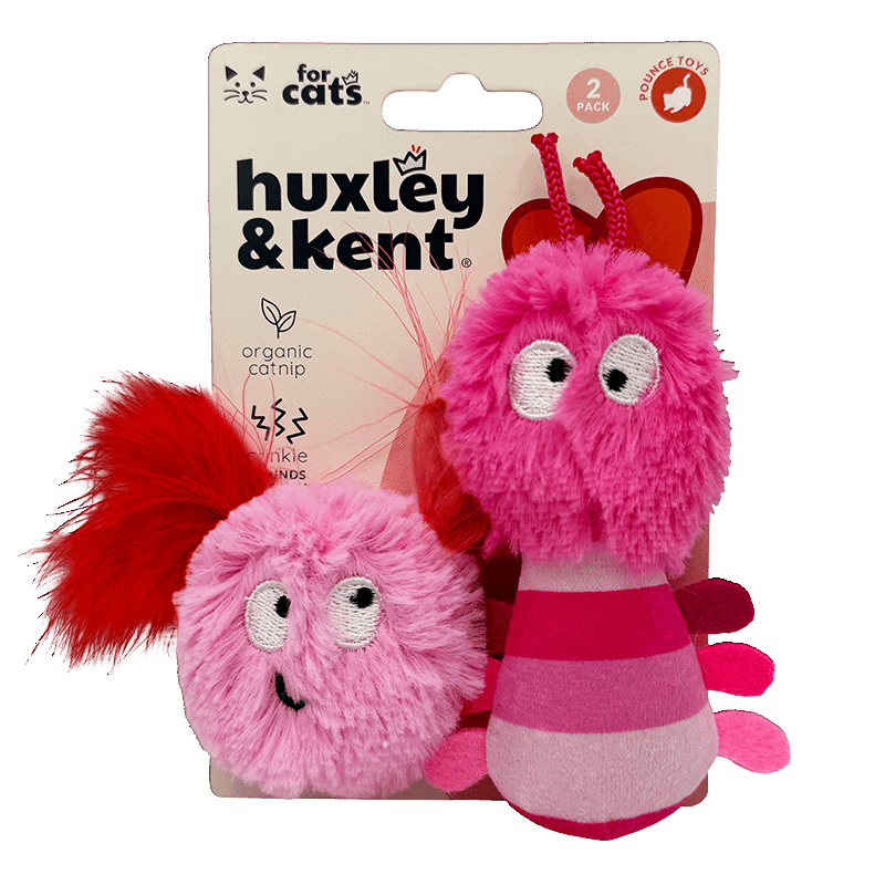 Love Bugs 2PK Cat Toy