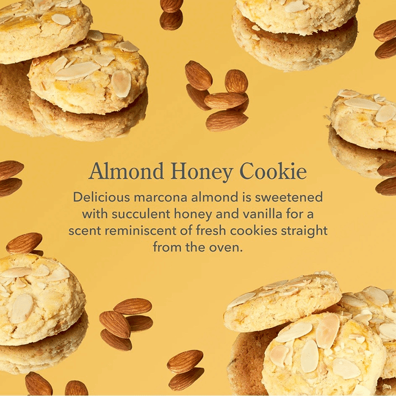 Almond Honey Cookie Hand & Body Wash