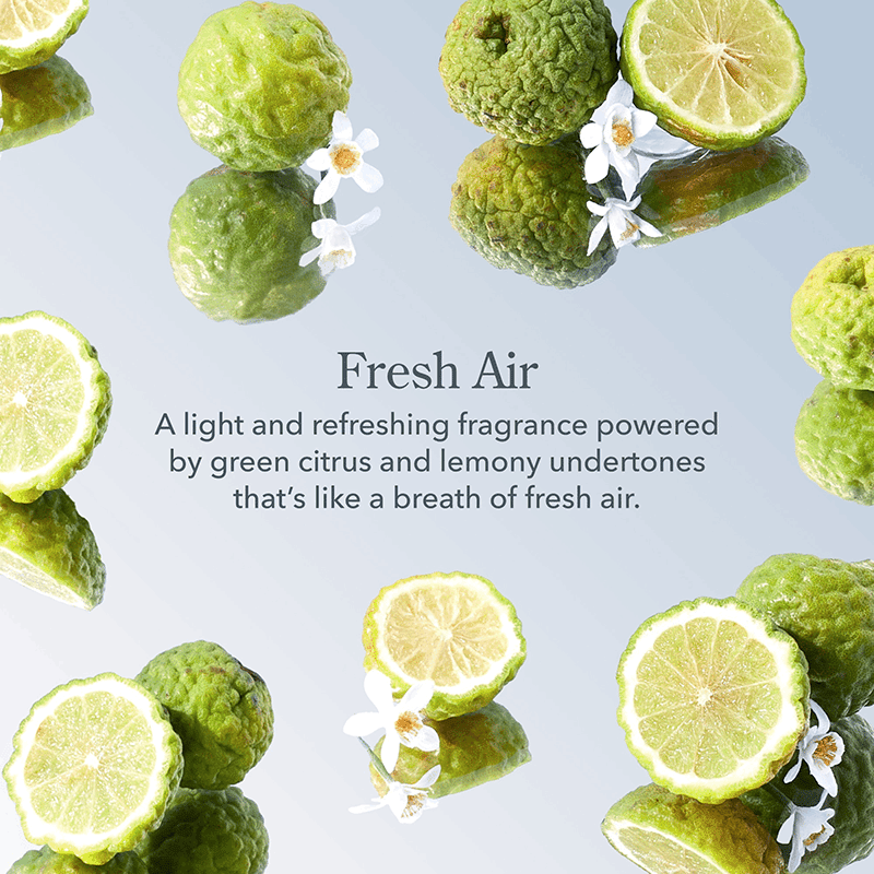 Lip Balm in Fresh Air
