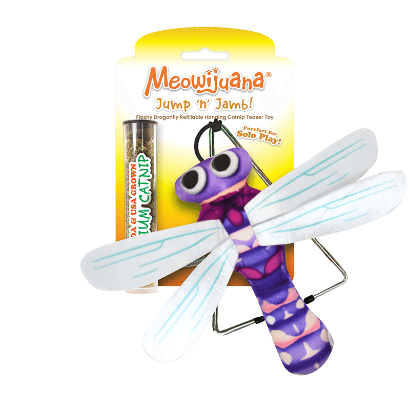 Jump 'N' Jamb Dragonfly Catnip Teaser Toy