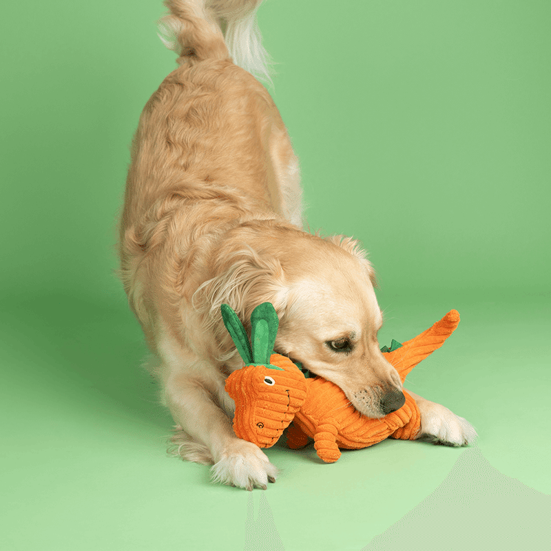 Carrot 'Bout You Dino Plush Dog Toy