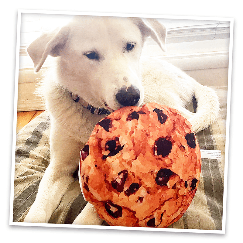 Get the Munchies Cookie