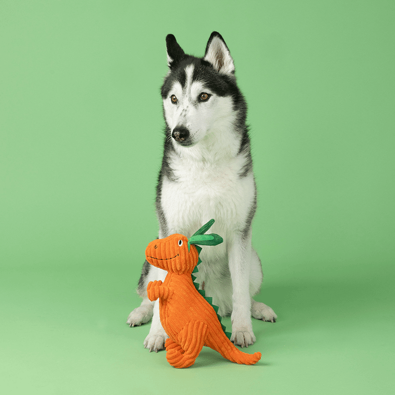 Carrot 'Bout You Dino Plush Dog Toy