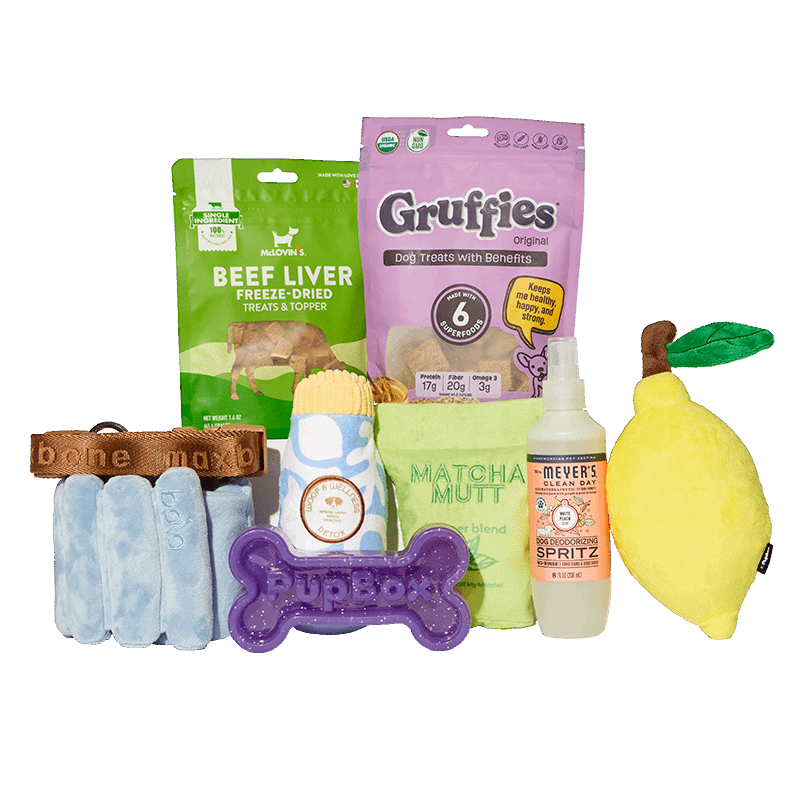 PupBox by FabFitFun (S/M)