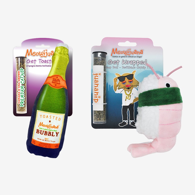 Feline Fun Bundle
