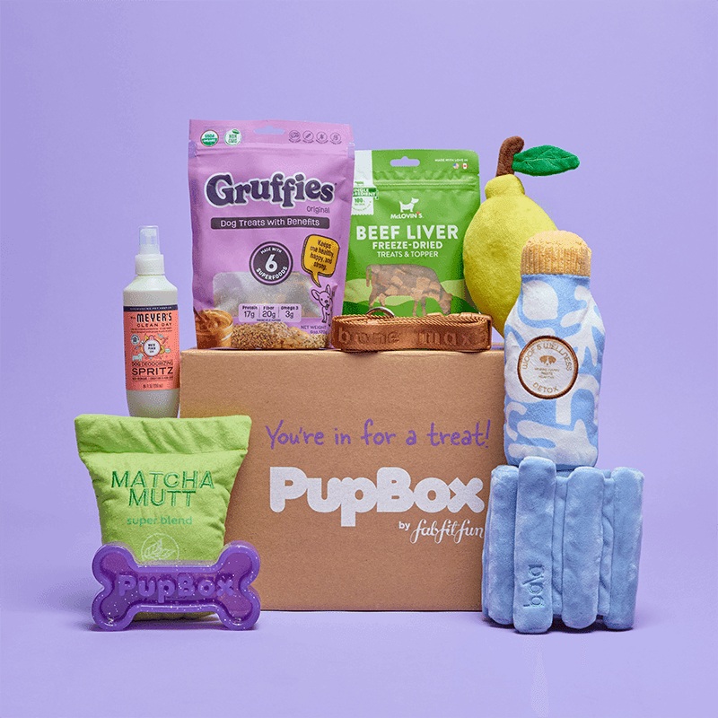 Picture of PupBox by FabFitFun (L/XL)