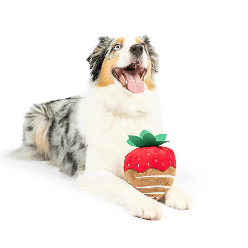 Chocolate Strawberry Dog Toy