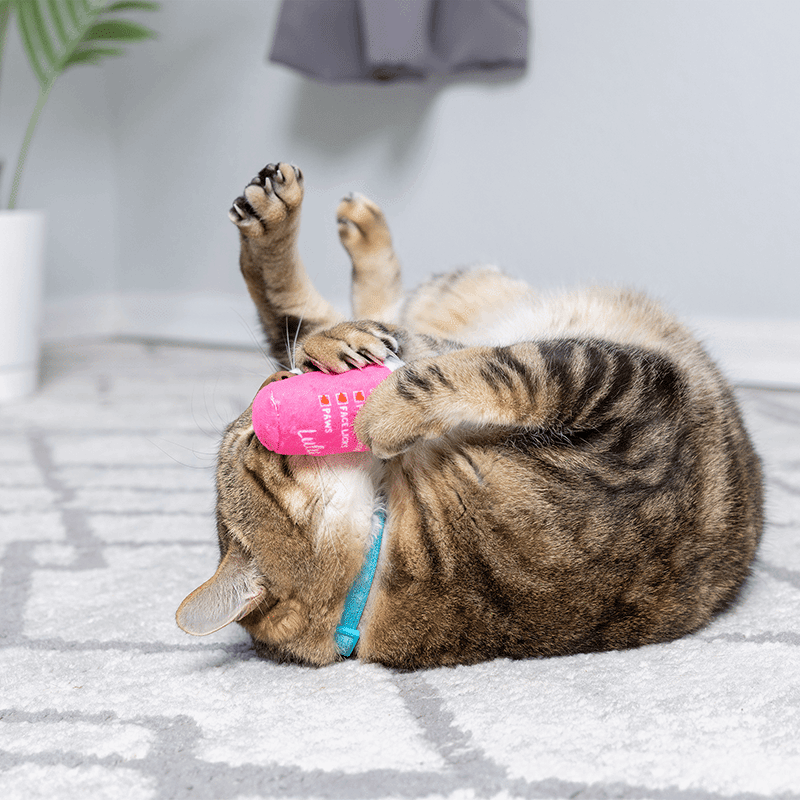 First Lick Heart & Be Mine Coffee 2PK Cat Toy