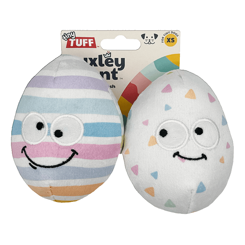 Tiny Tuff Squeaky Eggs 2PK Plush Dog Toy
