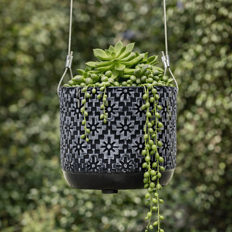4" Hanging Planter